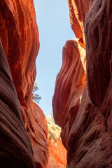 Peek-a-Boo Slot Canyon, Kanab, Utah	