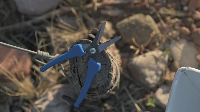 Tijera de podar en tronco de vid