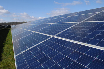 Rows of solar panels