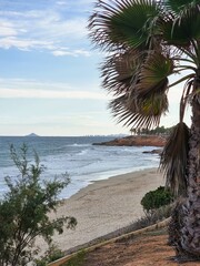 Blick durch Palmen zum Meer, mit einem Stück Strand im Vordergrund und einem Küstenabschnitt, der...