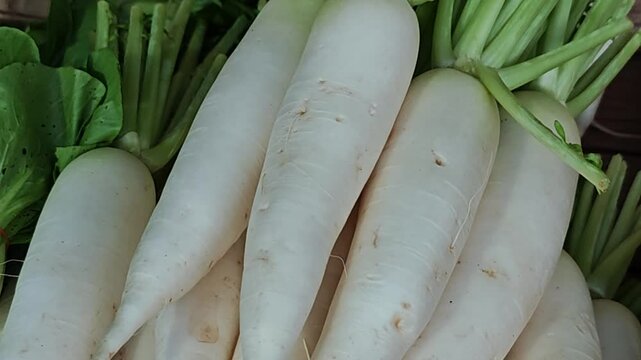 white radish