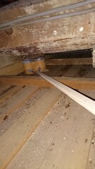 470)A japanese yellow hornet's nest in the attic on the first floor that had been attacked by a northern giant hornet during the day(Photo taken at 21:46 on september 14, 2015)