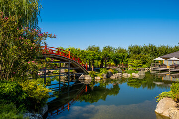 A red bridge over a pond in a Japanese garden on a summer day.
