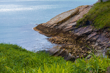 stony seashore against a backdrop of blue sky and sea