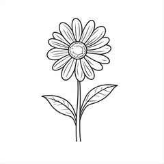 white flower isolated vector on white background