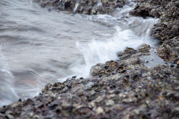 The Impact of the Waves sea