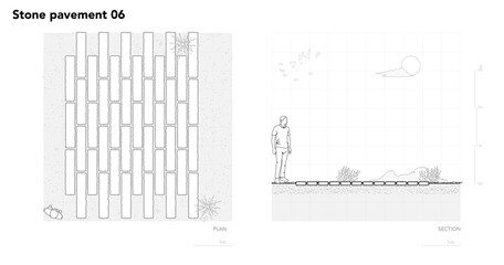 Architectural Drawings, Minimal style cad tree line drawing, Side view, plan and section forest outline symbol for landscape design drawing. PNG illustration in stroke fill in white.