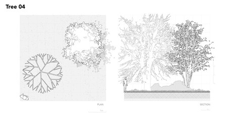 Architectural Drawings, Minimal style cad tree line drawing, Side view, plan and section forest outline symbol for landscape design drawing. PNG illustration in stroke fill in white.