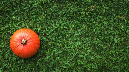 Fall theme greeting card template design with pumpkin.