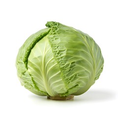 Fototapeta premium Cabbage