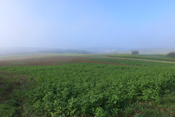 Blick über das Heckengäu bei Weil der Stadt