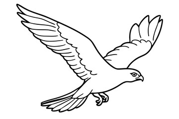 Obraz premium hawk swooping down wings tucked for a dive line art vector silhouette on white background