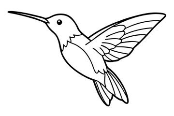 hummingbird hovering tiny body fast wings line line art vector silhouette on white background