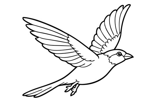 recommend clip art: sparrow in flight wings spread wide line art vector silhouette on white background