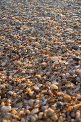 pebbles on the beach
