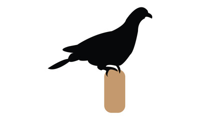 Yellow Footed Green Pigeon Silhouette Design  And Vector Illustration. 