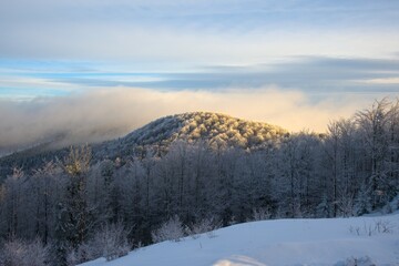 Frost-covered trees and a snow-blanketed hill glowing in golden sunlight during a serene winter morning. The perfect scene of tranquility and natural beauty.