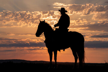 Silhouette of a cowboy sitting on a horse in the evening at sunset on the prairie.