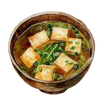 recommend clip art: A watercolor clipart of Miso Soup, isolated on a white background. Miso Soup vector.