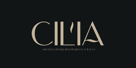 Alphabet Font Collection Classic and Modern Lettering Elegant Minimalist 
