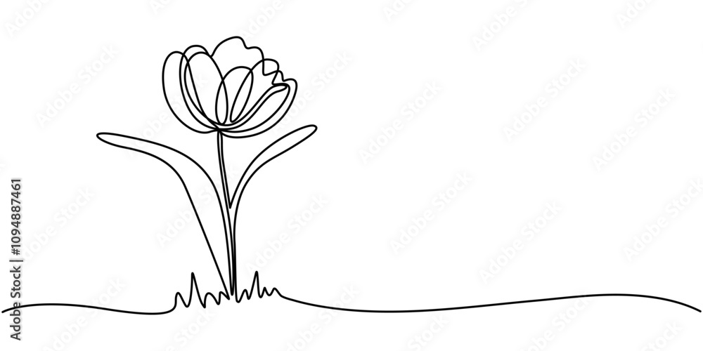 Fototapete Tulip Continuous Line Icon, Flower drawing mono line. Continuous line icon on white background. A simple, black and white drawing of a tulip. It's a continuous line, making it look elegant and modern.