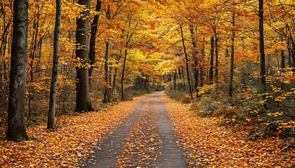 Fototapeta premium A forest path surrounded by golden fall leaves.