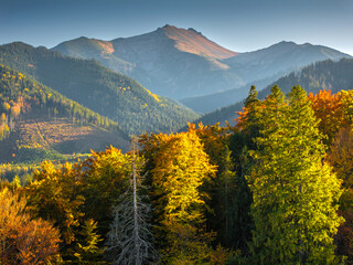 Obraz premium Autumn Forest with Mountains in Background