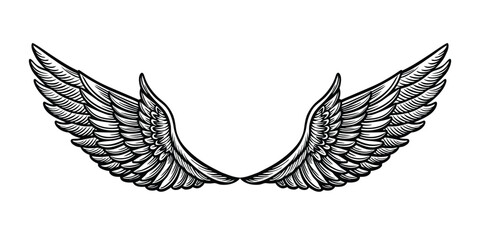 Angel wing vintage woodcut engraving style hand drawn vector illustration