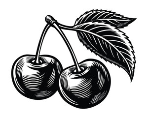 Cherries with leaf vintage woodcut engraving style vector