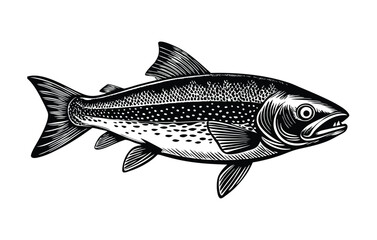 Fototapeta premium Salmon fish seafood sketch ink vector illustration on white background