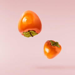 Fresh ripe Persimone fruit falling in the air isolated on pink background, food levitation or zero gravity conception