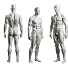 Set bundle white full body shiny glossy muscular male man mannequin dummy sculpture front back side view on transparent cutout PNG Many different angle Mockup template artwork graphic design 300dpi
