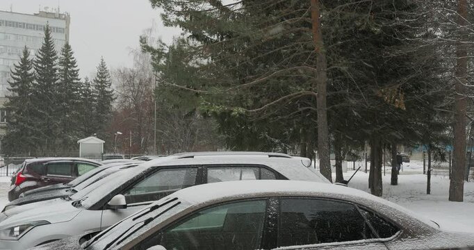Transport. Cars are parked in the parking lot during a snowfall next to a pine tree behind which people walk along the sidewalk. Hand held. Siberia.
