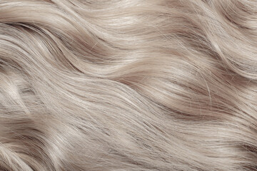 Naklejka premium Blond hair close-up as a background. Women's long blonde hair. Beautifully styled wavy shiny curls. Hair coloring. Hairdressing procedures, extension. White hair