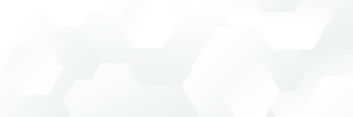 Fototapeta premium Abstract white Geometric banner design background.