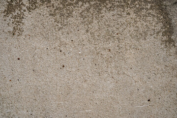 Stone Wall Texture with Cracks