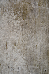 Stone Wall Texture with Cracks