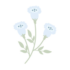 coquette blue Floral Groupings - Vibrant Bouquets and Blooming Gardens