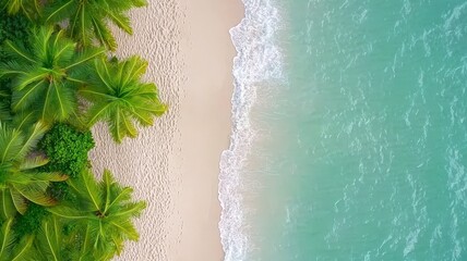 top view beach in palm style. Aerial view of a serene beach with soft white sand, clear turquoise water, and lush green palm trees lining the shore.