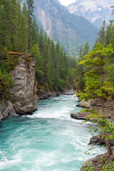 Downstream from the waterfall