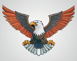 Eagle Logo Design - Powerful Bird Illustration