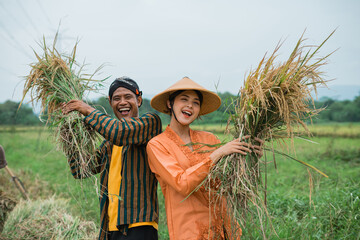 Two farmers are joyfully celebrating their successful rice harvest in the lush, green fields