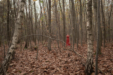 woman in long red dress standing alone in a winter or autumn forest and her eyes covered by her hands