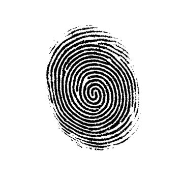 recommend clip art: Intricate fingerprint design for identification purposes