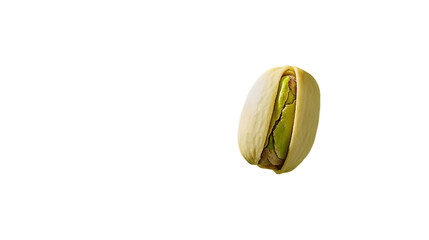 Single Pistachio Nut Photo