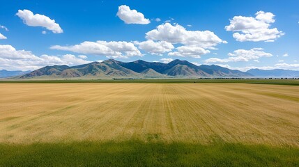 A scenic landscape featuring rolling fields under a bright blue sky with fluffy clouds and mountains in the background.
