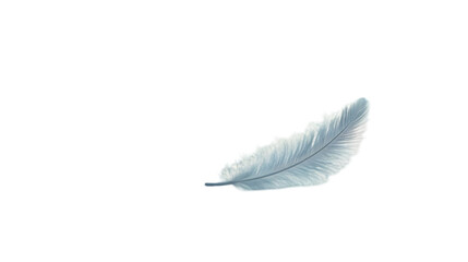 Single White Feather Illustration on Black Background