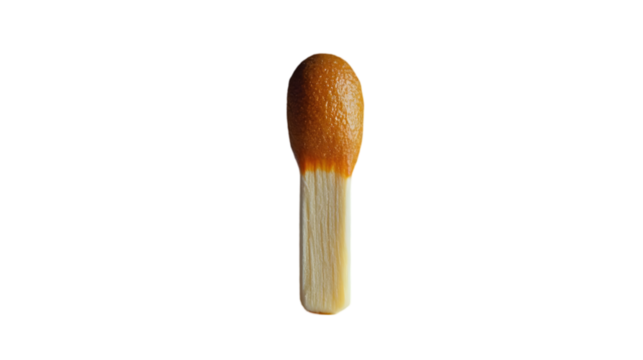 Closeup of Matchstick with Red Tip, Photography