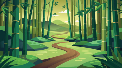 bamboo forest in the morning