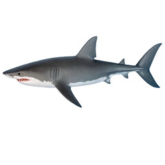 Fototapeta premium Powerful great white shark swimming in dark blue water. Predatory marine animal.